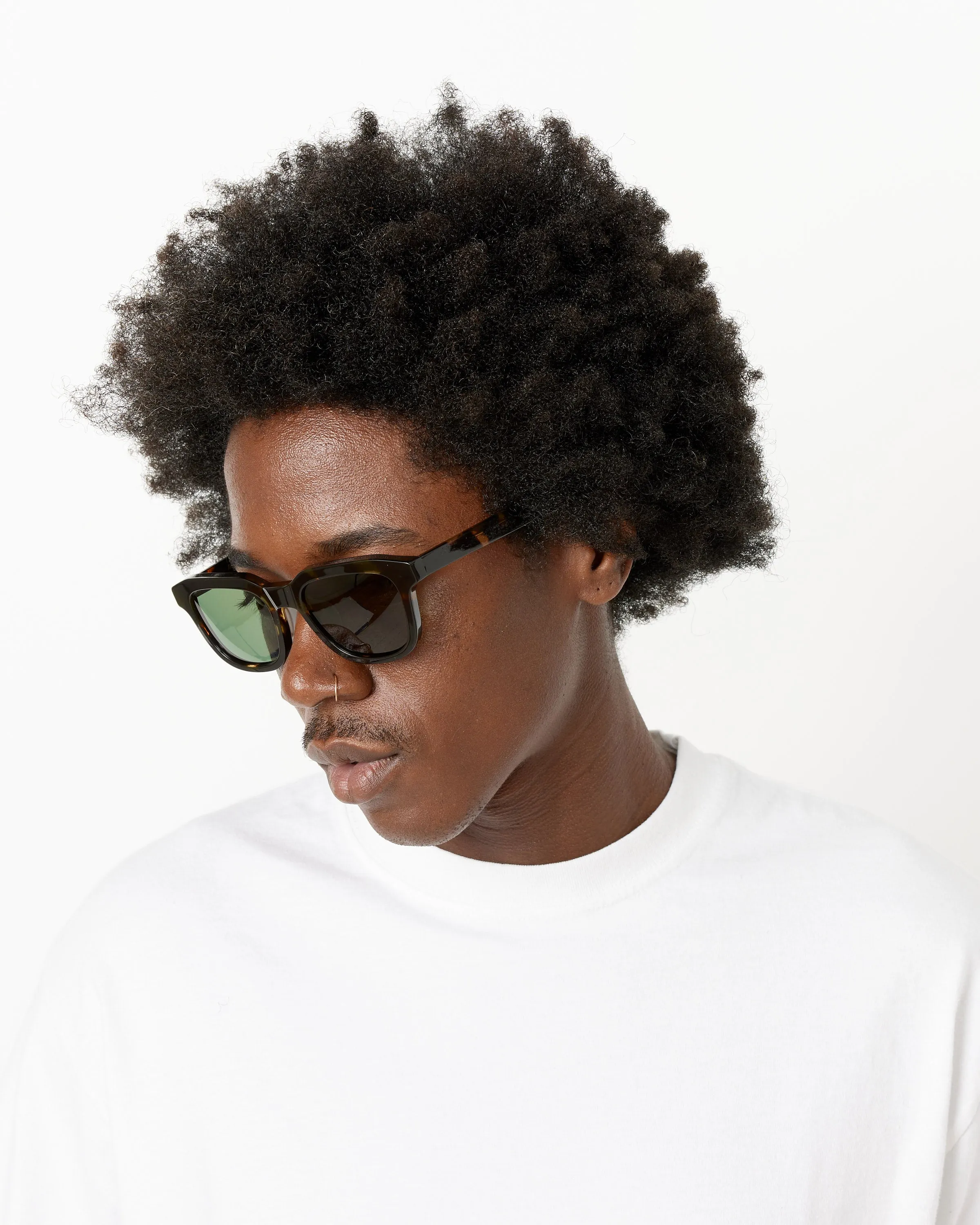 Avalon Sunglasses