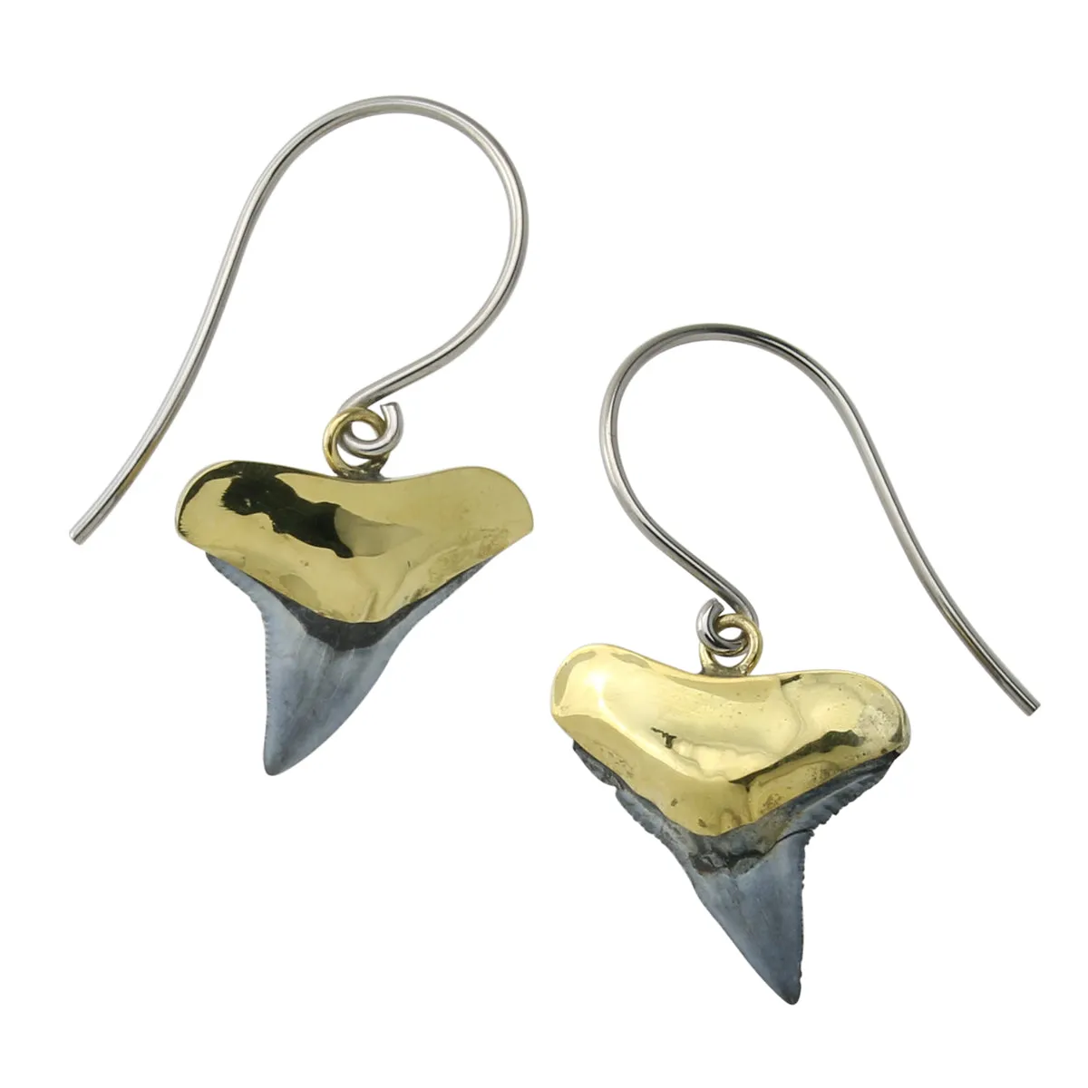 Fossilized Shark Tooth Titanium Dangle Brass Earrings