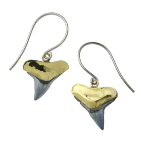 Fossilized Shark Tooth Titanium Dangle Brass Earrings