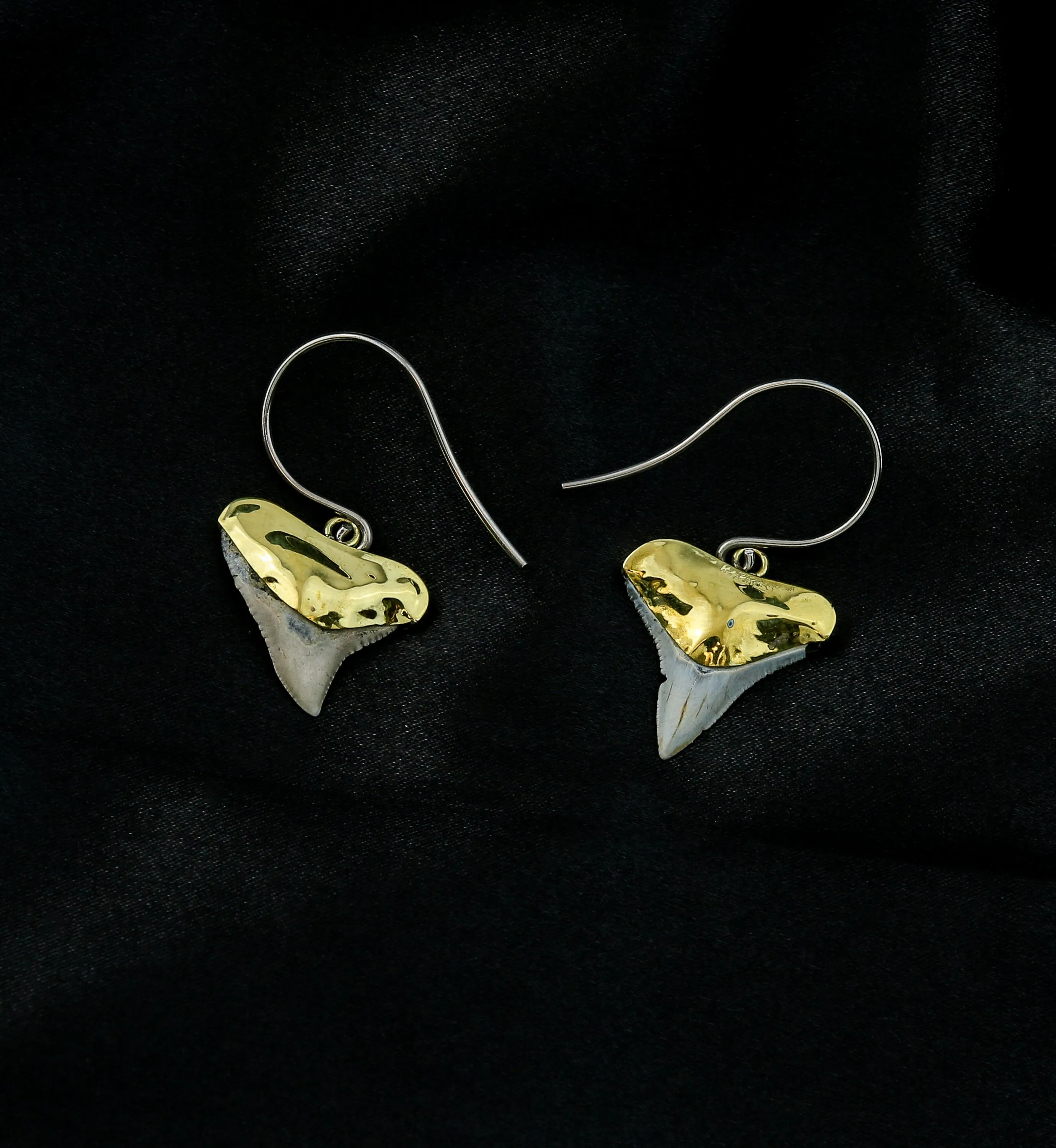 Fossilized Shark Tooth Titanium Dangle Brass Earrings