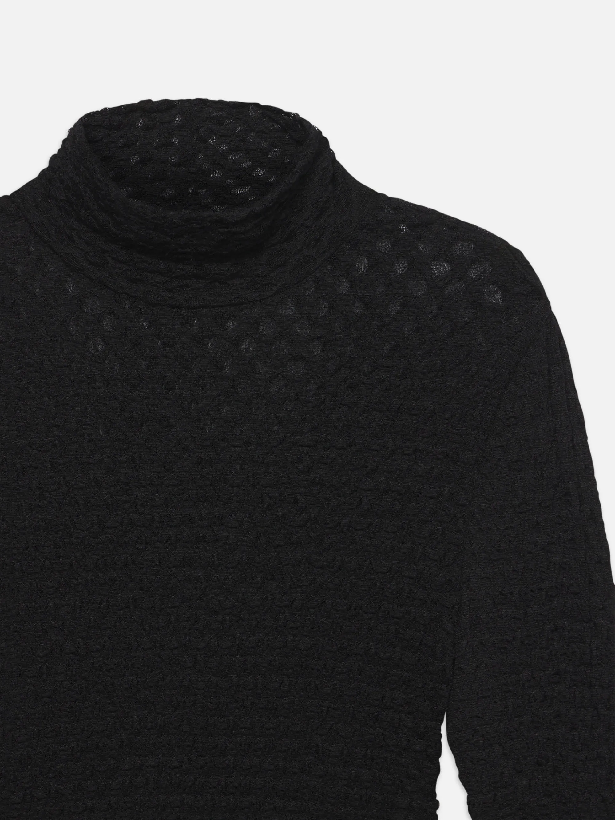 Mesh Lace Turtleneck -- Noir